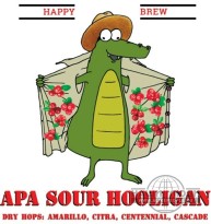 Пиво APA SOUR HOOLIGAN, 0.5 л - фото1